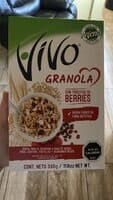 VIVO GRANOLA CON TROCITOS DE BERRIES